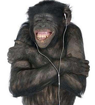 搞笑大猩猩头像图片之流行歌曲就是棒