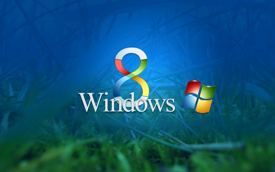 windows 8ϵͳֽȫ