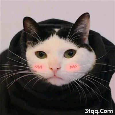 ȳèͼƬͷ