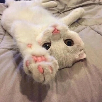 ɰʮһһͷȫ