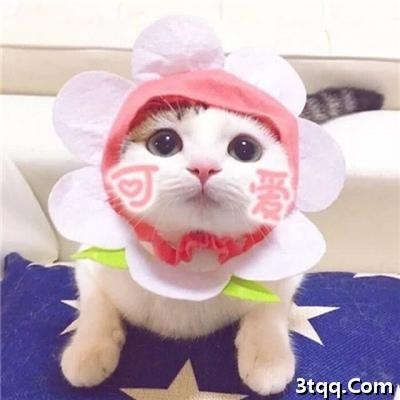 ϵèͼƬɰͷȫ