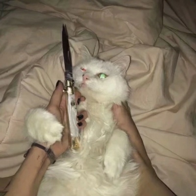 ɰʮһһͷȫ