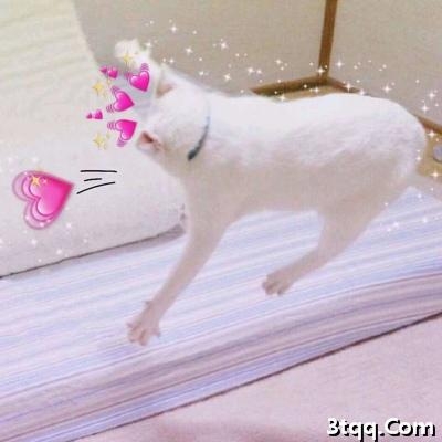 ϵèͼƬɰͷȫ