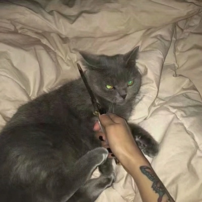 ɰʮһһͷȫ