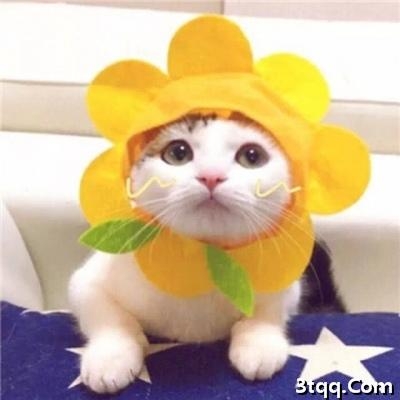 ϵèͼƬɰͷȫ