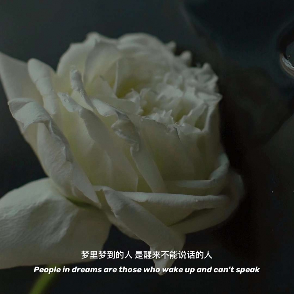 简约文艺风小清新朋友圈背景图片