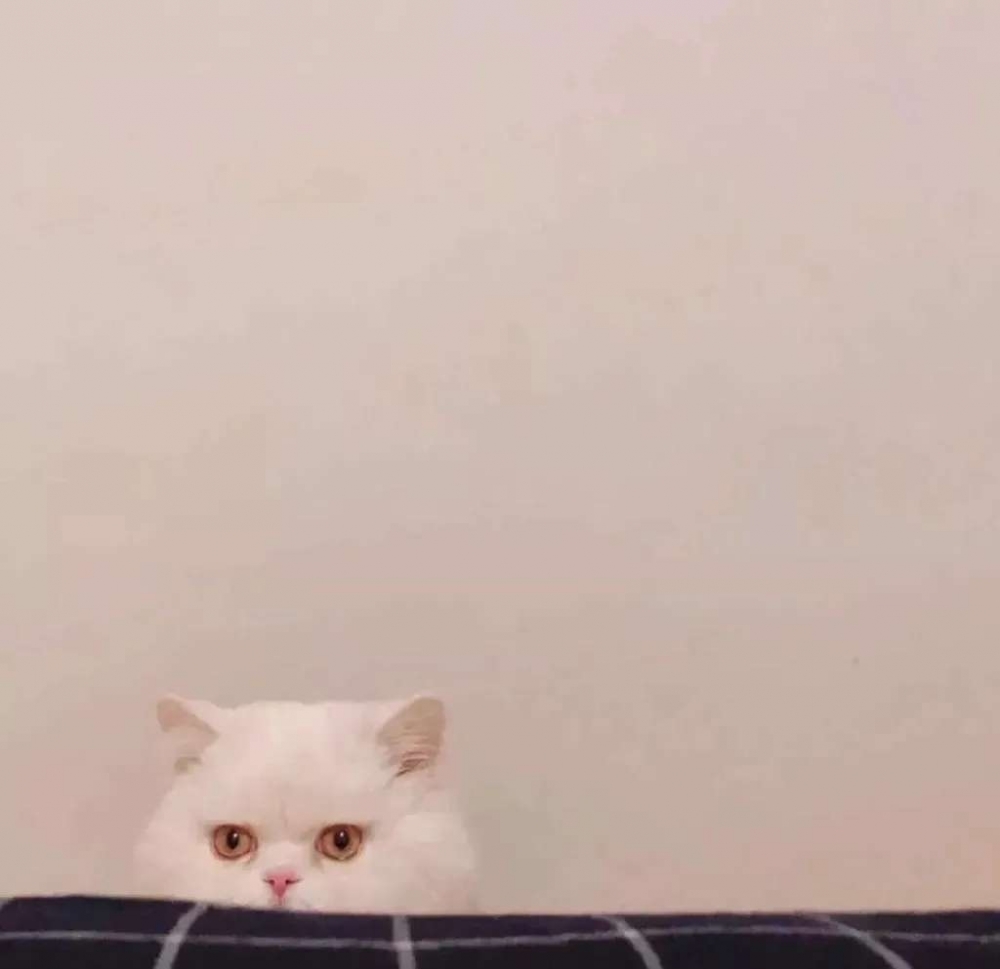 ԼָͼƬ