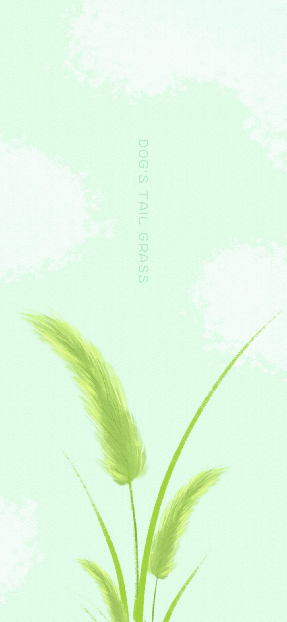 ֻ۵Ļֻֽ