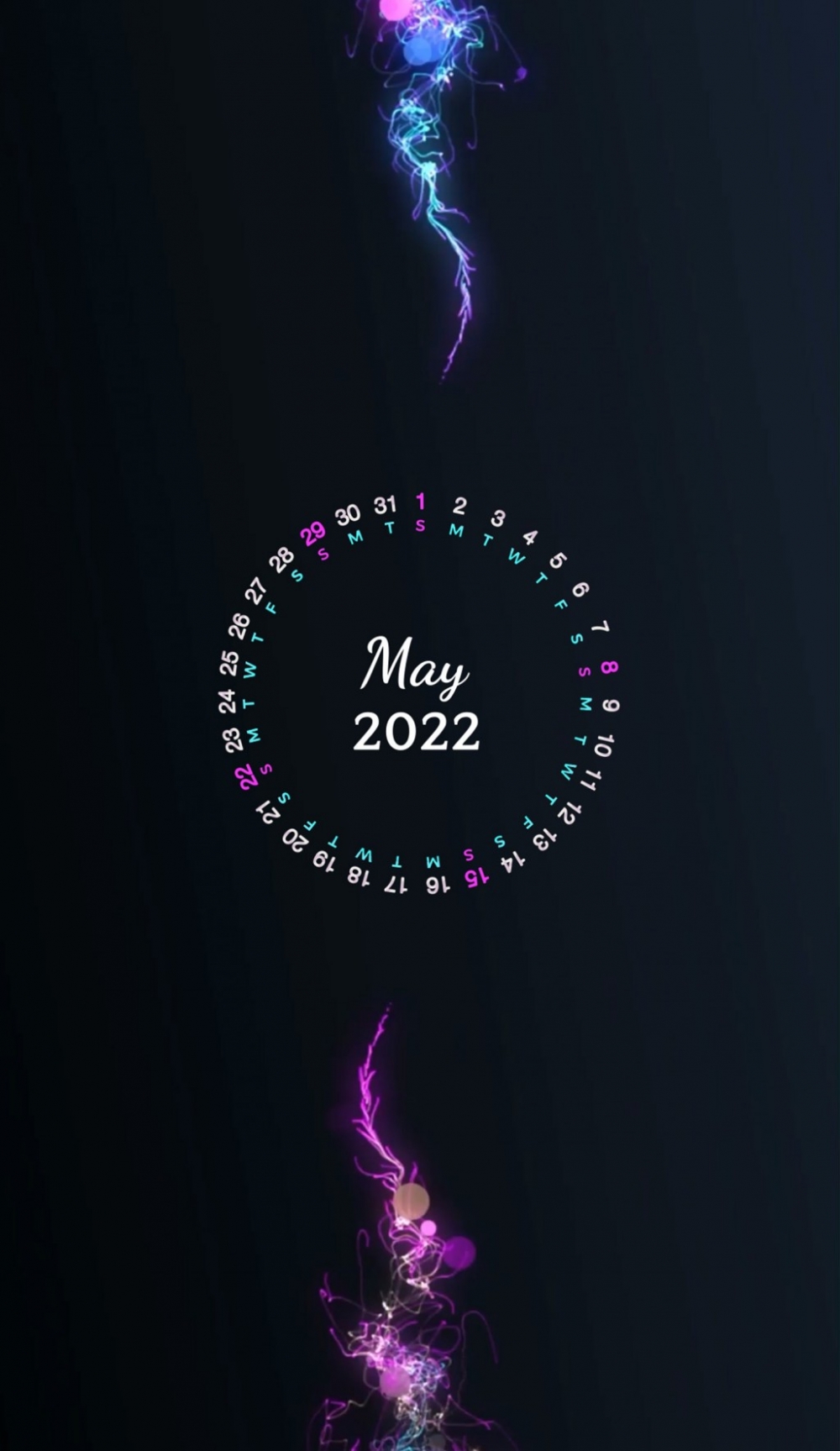 20225·羰ֻֽ