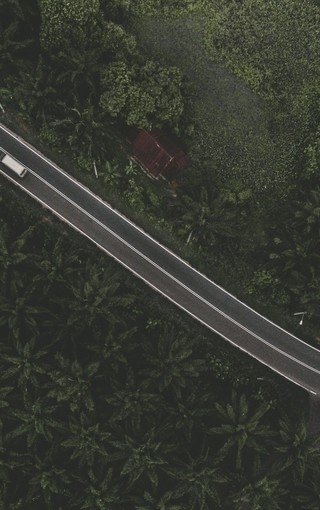 ·羰ͼƬʵ屳ͼ