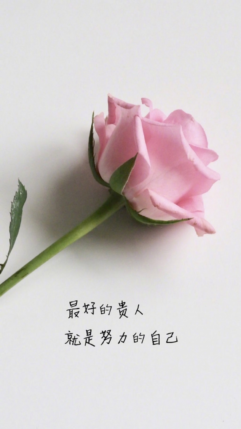 ΨͼƬͼƬ