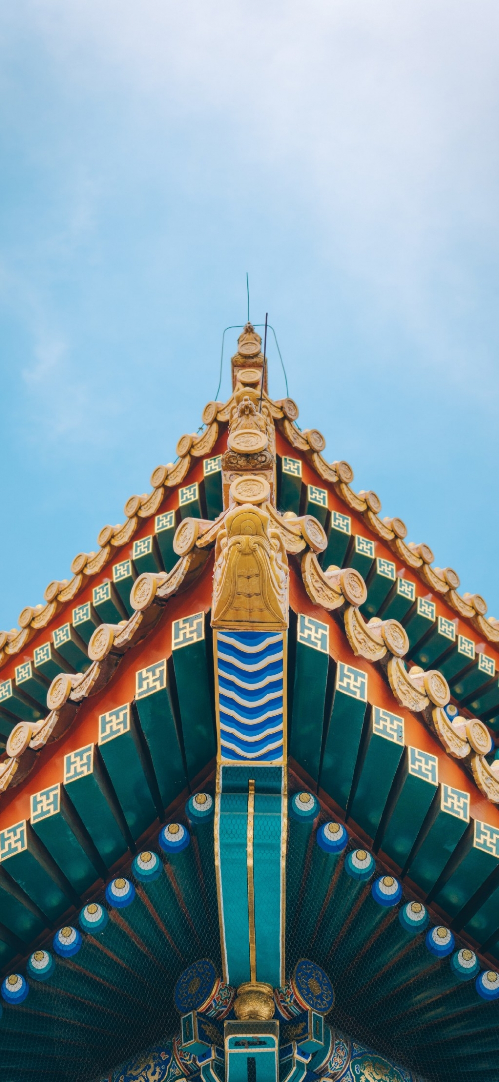 羰ֻֽ