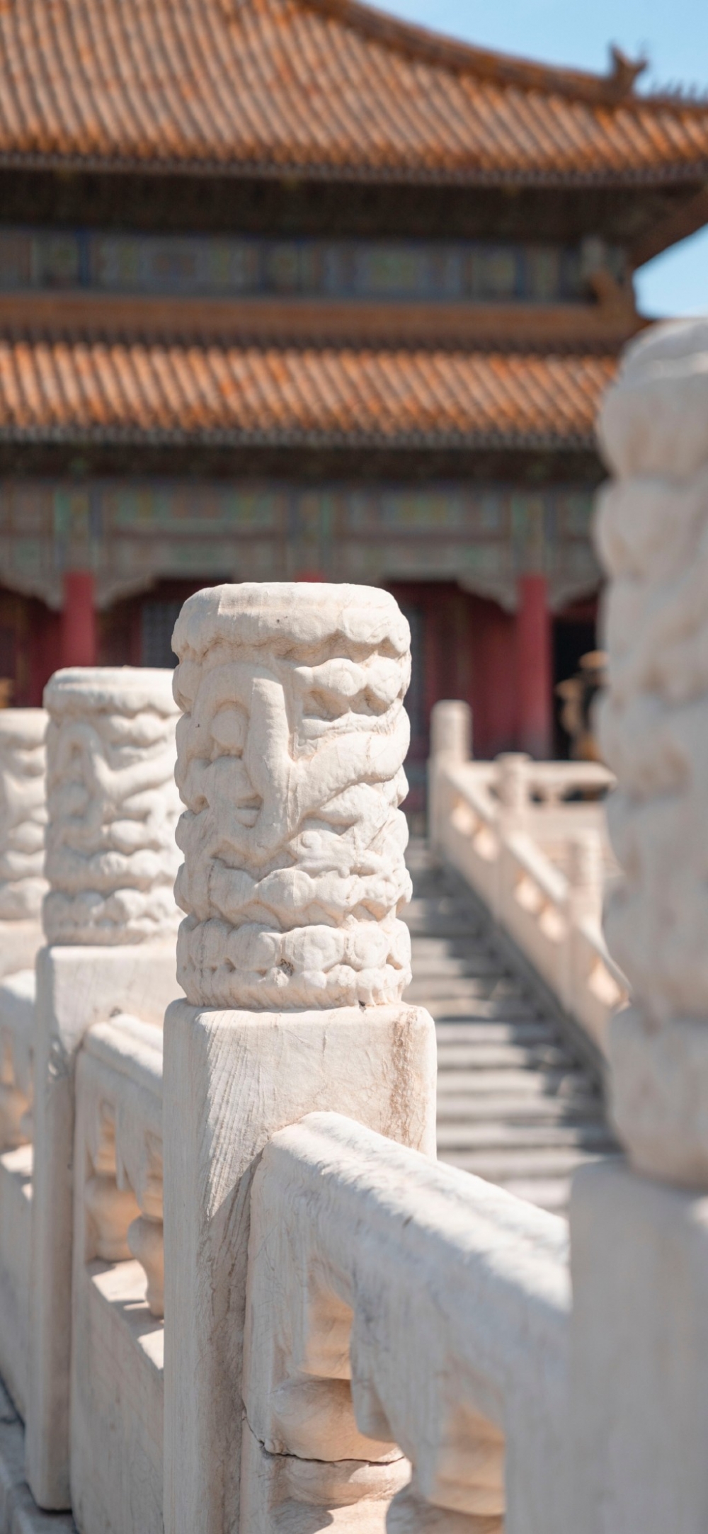 羰ֻֽ