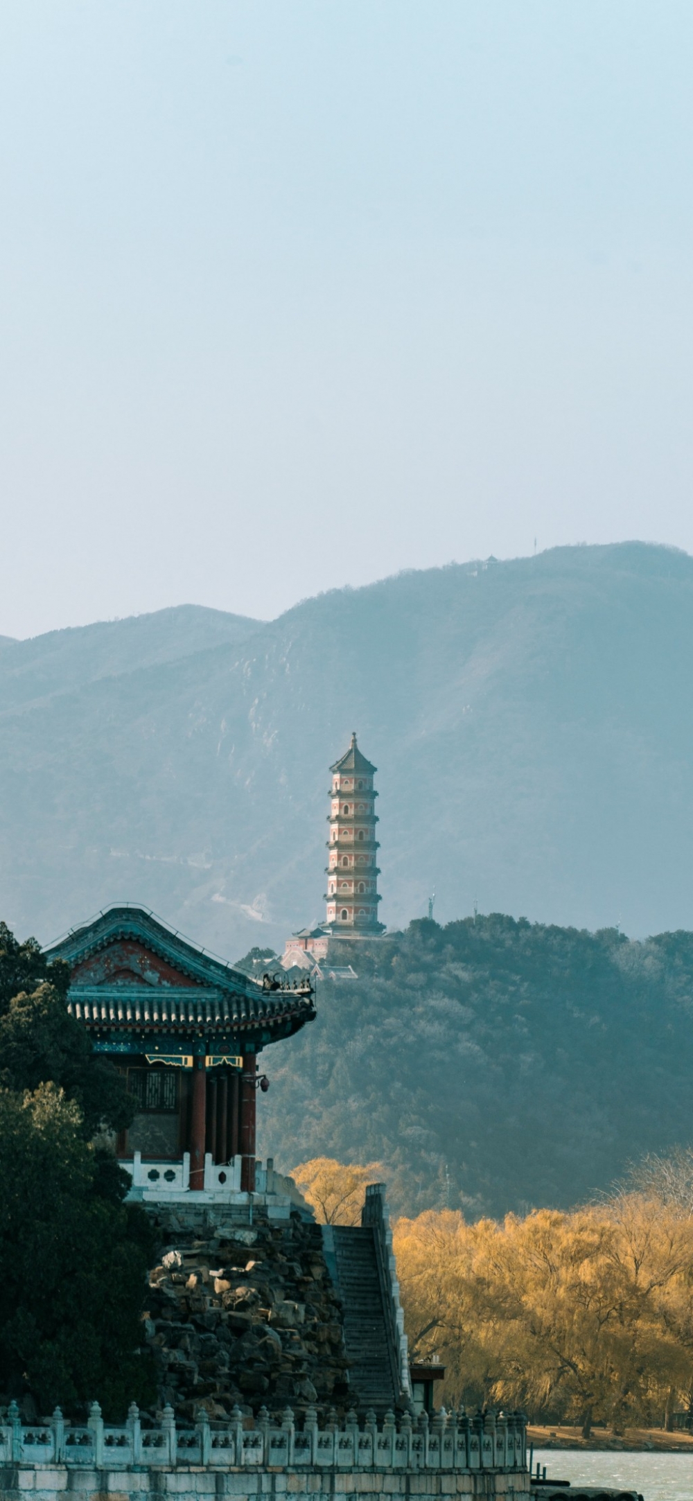 羰ֻֽ