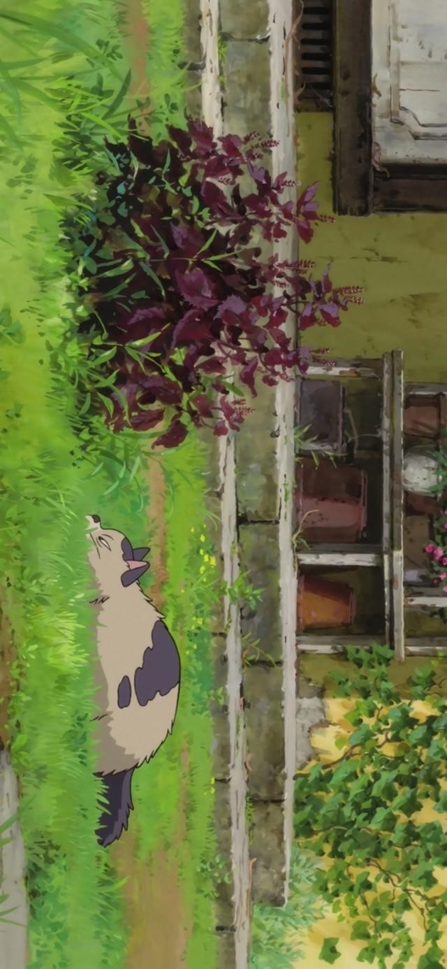 ϵֻֽ