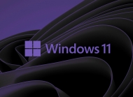 Windows11操作系统图片电脑壁纸