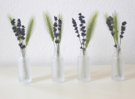 室内自然之美：桌面上半透明磨砂花瓶里摆放着鲜艳的自然植物