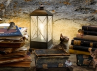 小猫与书的奇缘：桌上世界的温馨交融