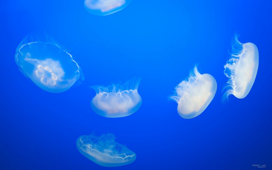 ¸ϵеˮĸֽ