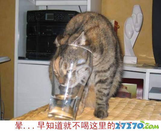 ɰСèд漯