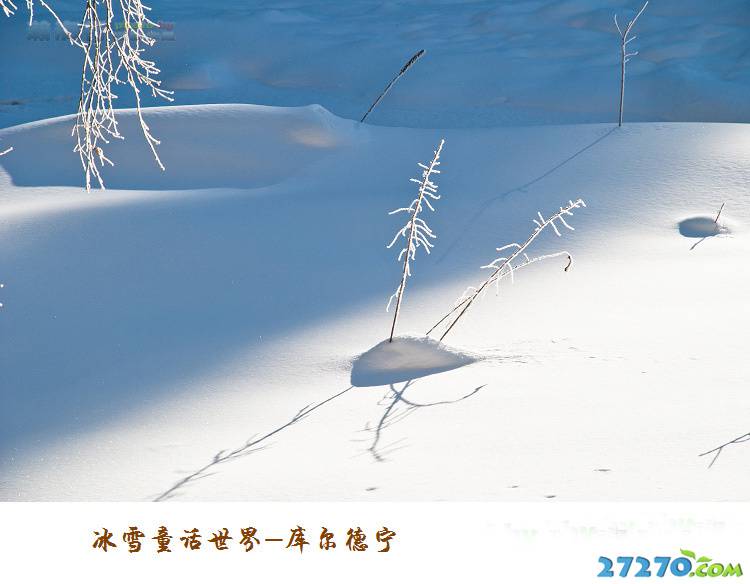 ѩͯ