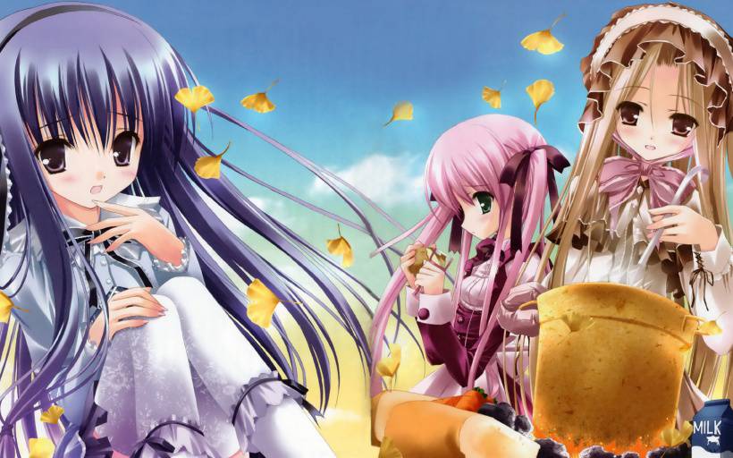 ͼƬCafe Little Wish
