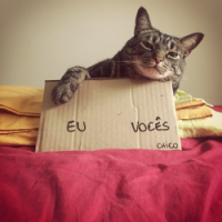 ȳèΨͷ
