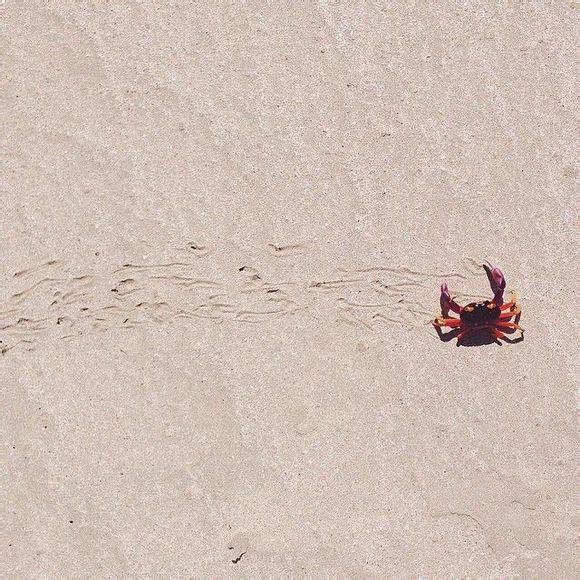ϵϵͼƬ