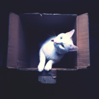 ȳèΨͷ