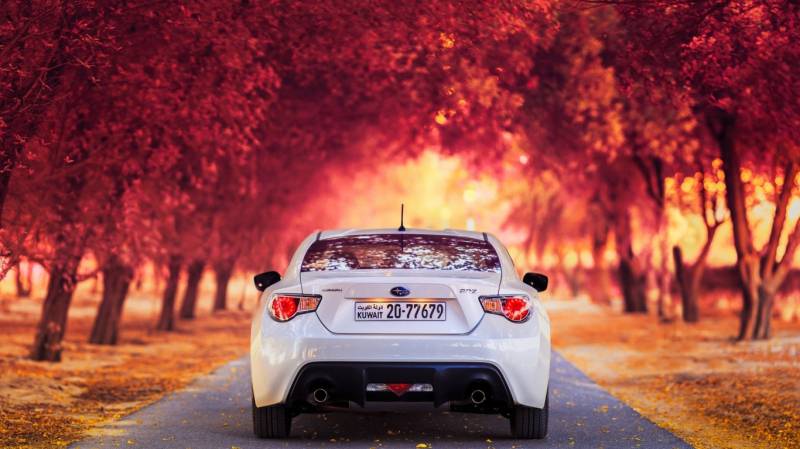 ˹³BRZֽܳ