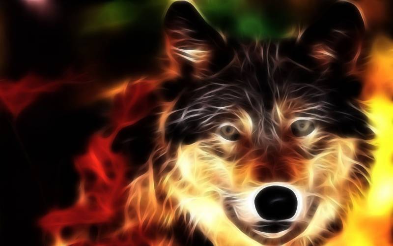 ЧĶֽ