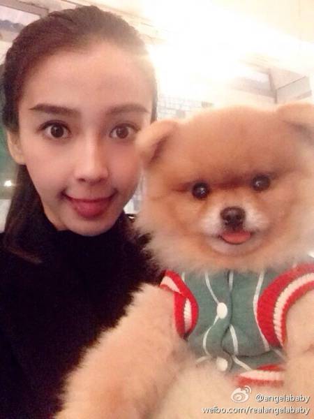 Ůangelababy-- 