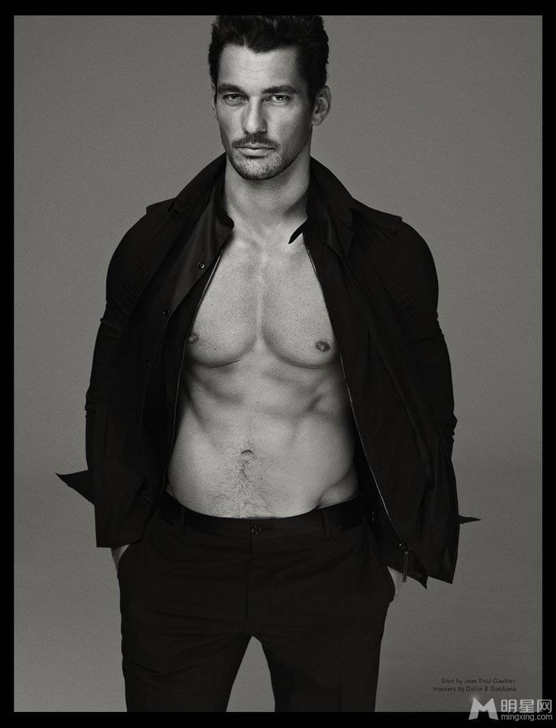 David Gandy˧Ըл