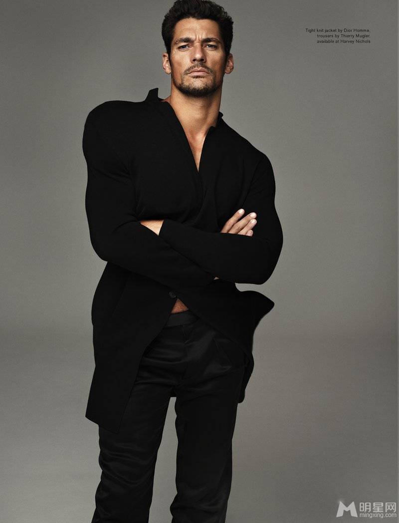 David Gandy˧Ըл