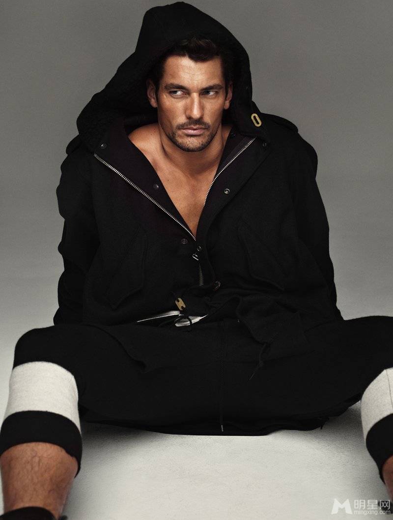 David Gandy˧Ըл