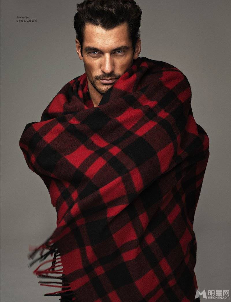 David Gandy˧Ըл