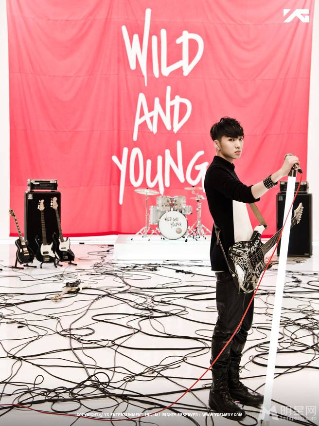 ʤ¸Wild And Young