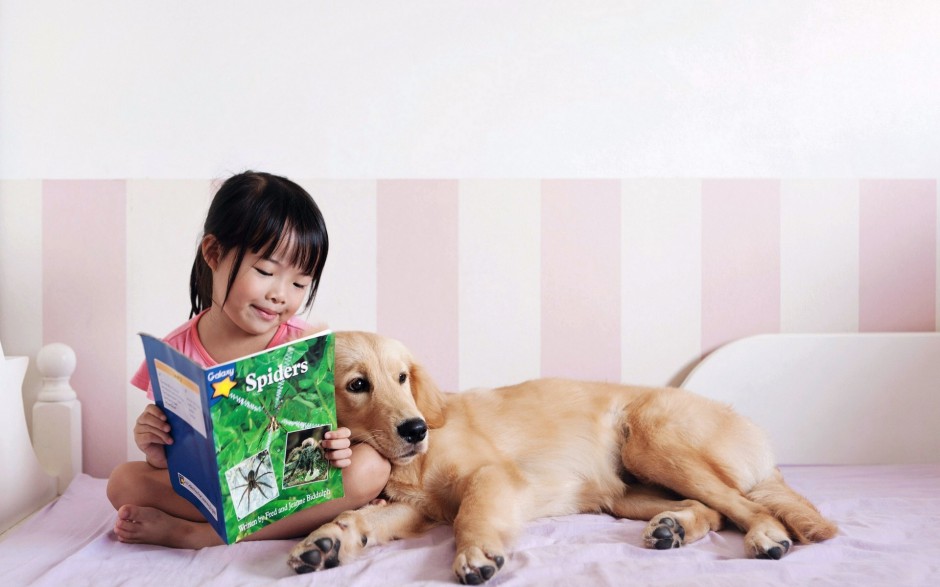 ȳͼƬȫ ˵ʱ