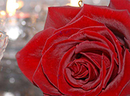一朵红玫瑰和放着蜡烛的玻璃杯图片