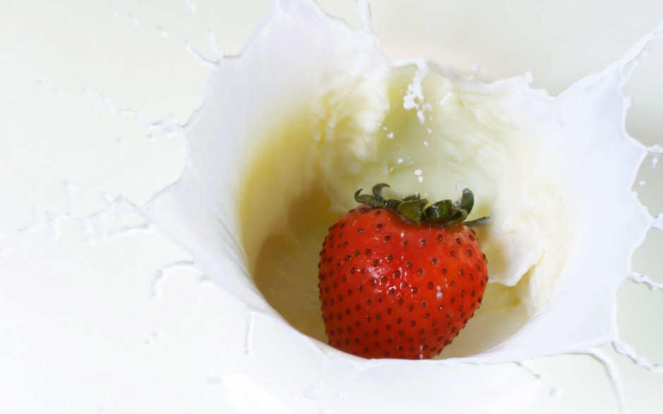 ʽӪţͼƬȫ