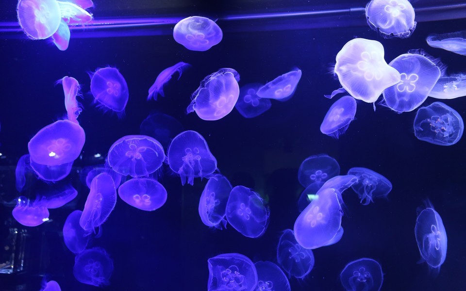 动漫图片90后女生可爱大图片大全大图