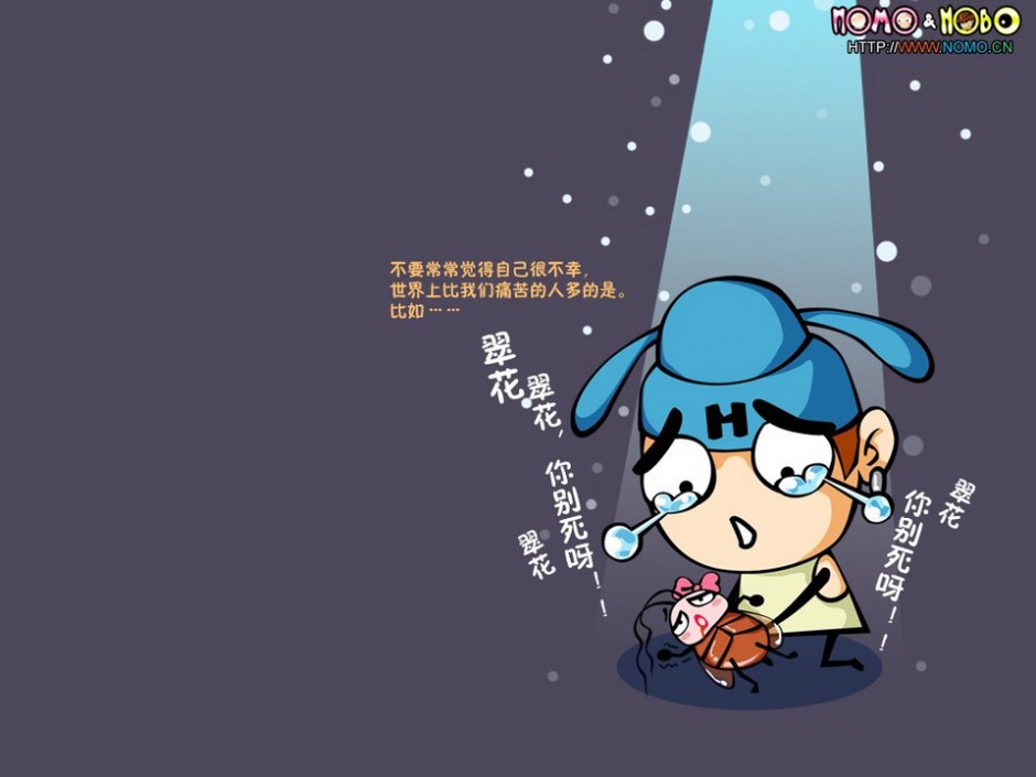 ͼƬ򲹣HOBOͷ