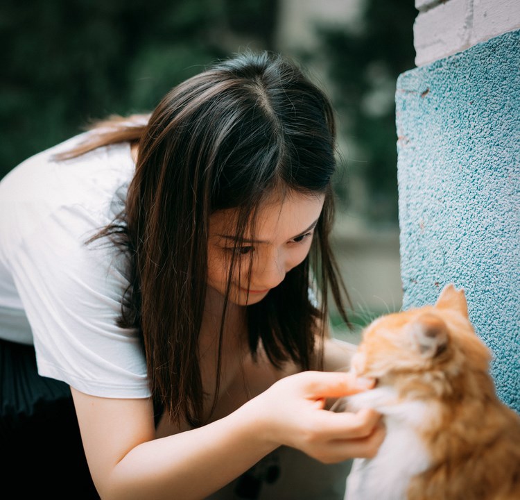լŮСKittyд