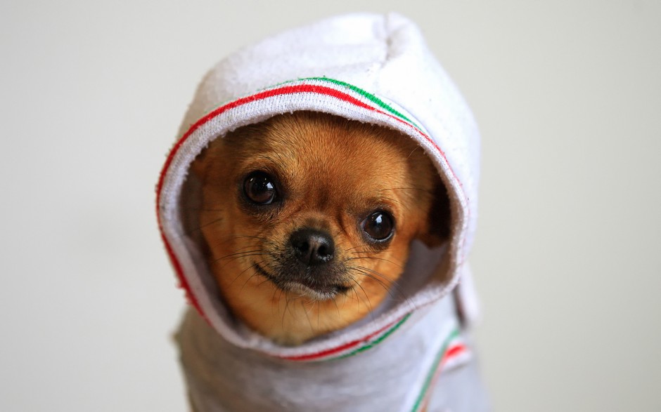 Ȼ㼪ͼƬ