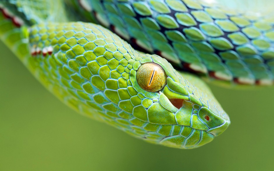 ݵĴͼƬ