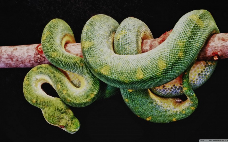 ݵĴͼƬ