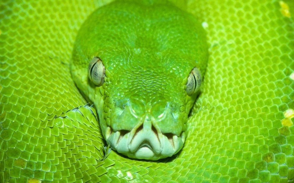 ݵĴͼƬ