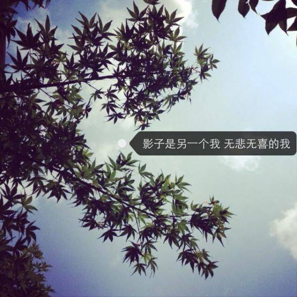 羰qq˸дͼͼƬ
