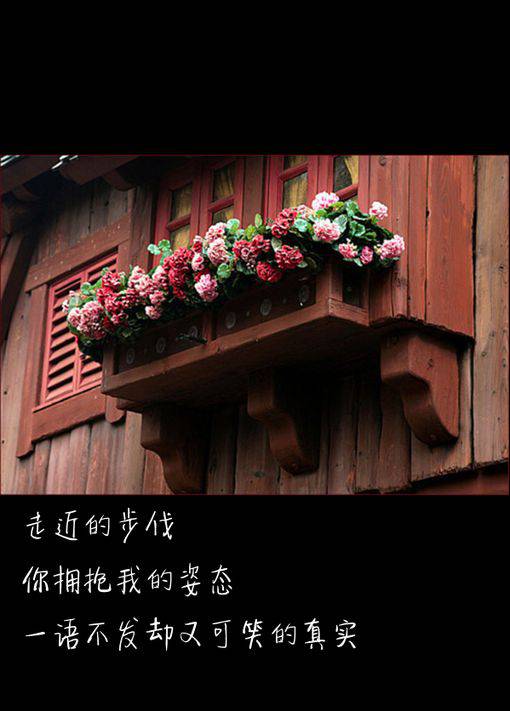 qq˸иͼƬŮȫ