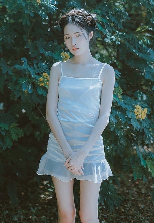 NancyСȪӾװĸд